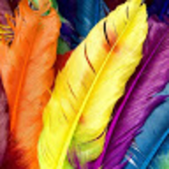 Meet your Posher, Ranger - Picture 1 of 1